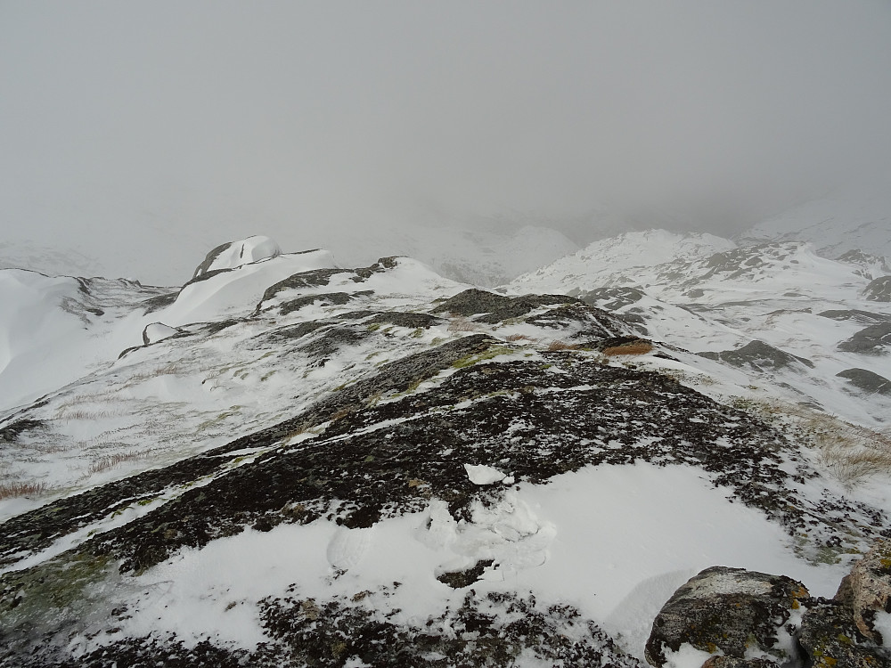 Utsikt fra varden på Snøådalsfjellet
