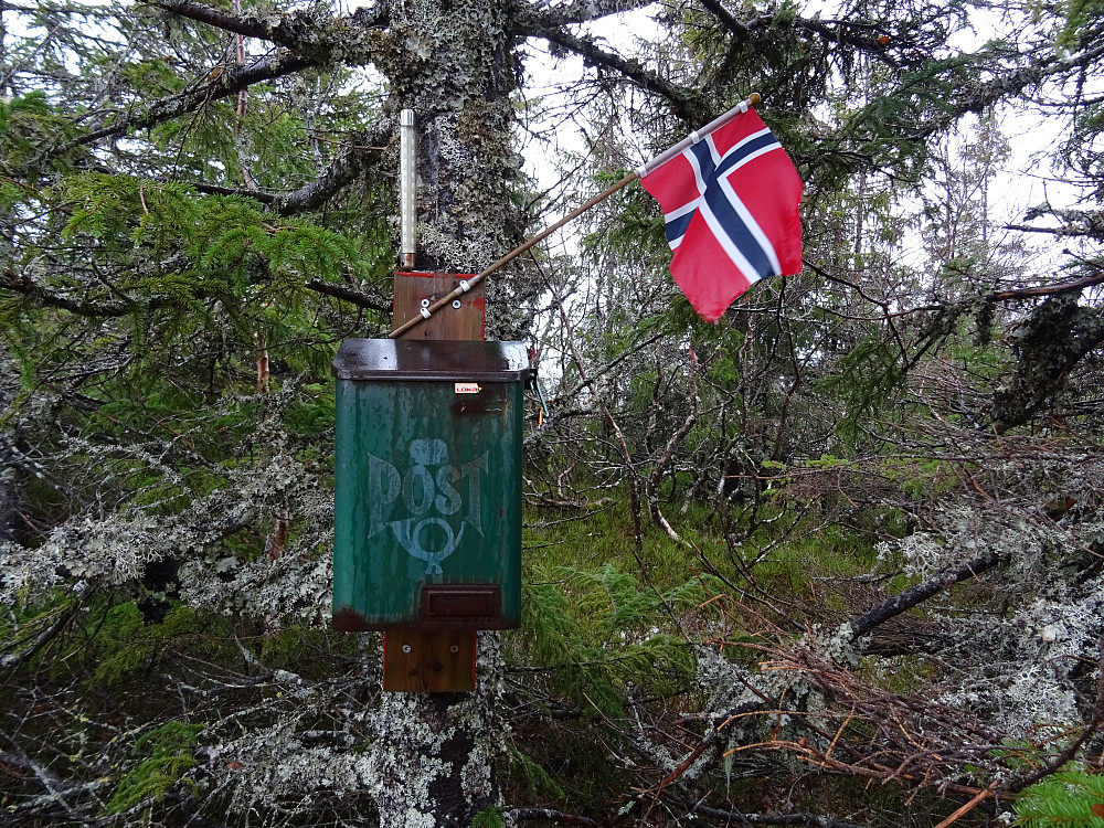 Trimkasse med norsk flagg på Gokshaugen
