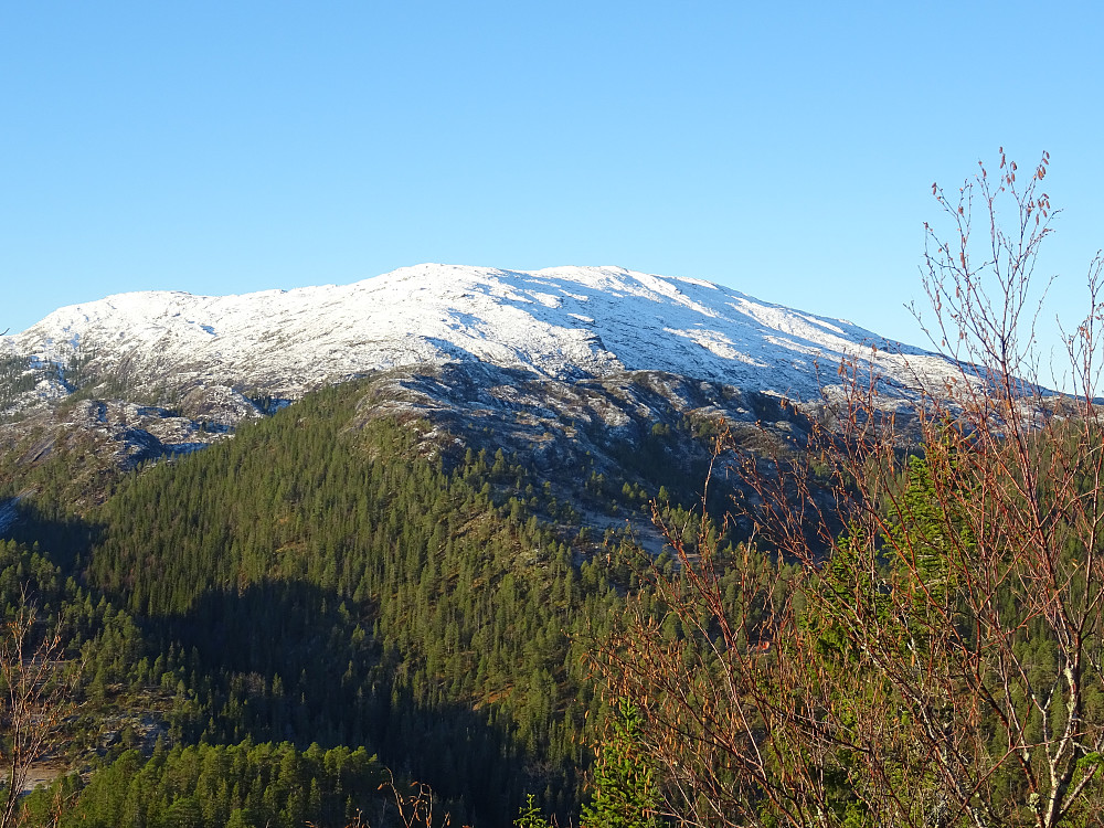 God utsikt fra fortoppen av Bergshatten mot Kolåfjellet. Ånnvikfjellet ligger vest i dette fjellmassivet 