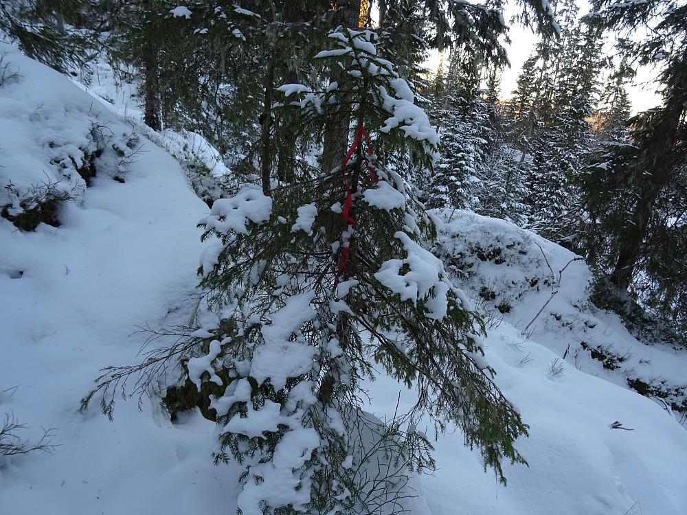 Rødmerket sti fra Uppurskaret ved flyvraket og opp til Bukamyrfjellet