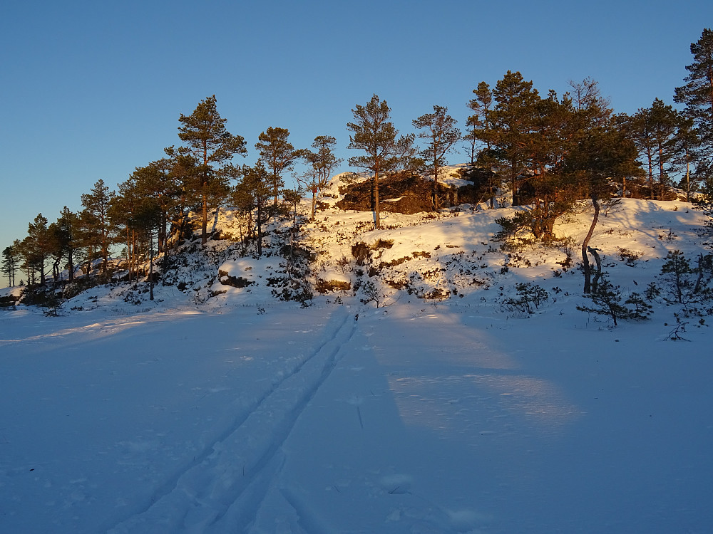 Bukamyrfjellet