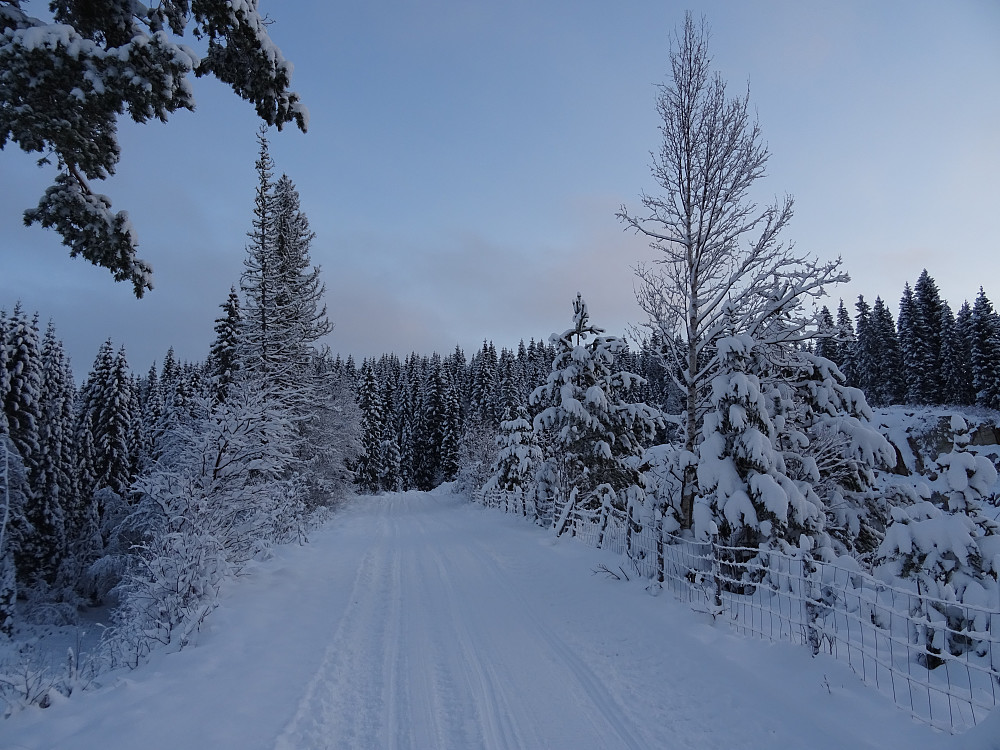 Veien mot Fjeldsettjønnin.