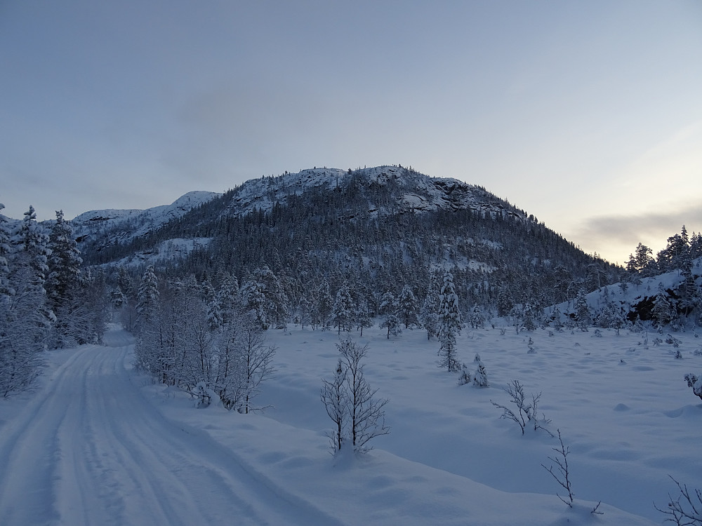 Salfjellet. Kvenntjønna ligger i skaret til høyre