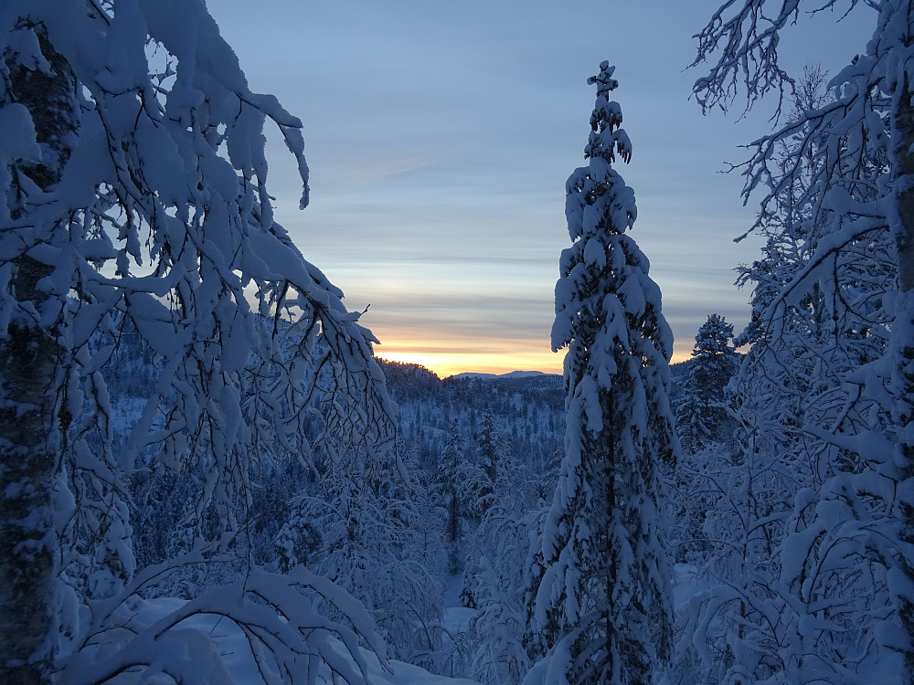 Solnedgang i Klinga