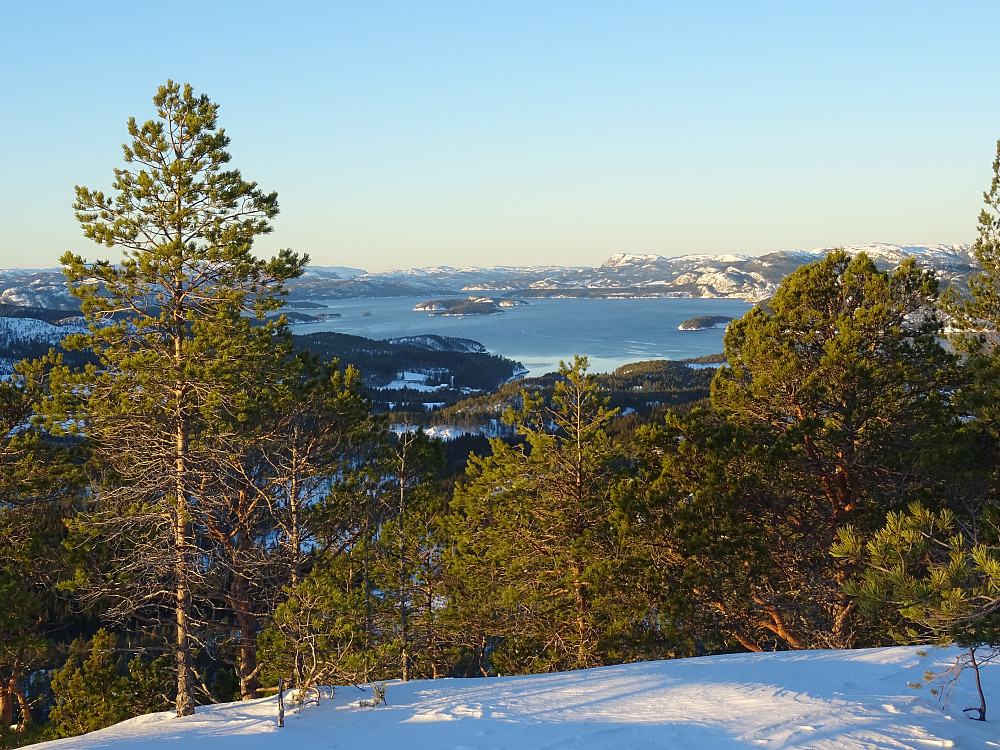 Utsikt mot Namsenfjorden