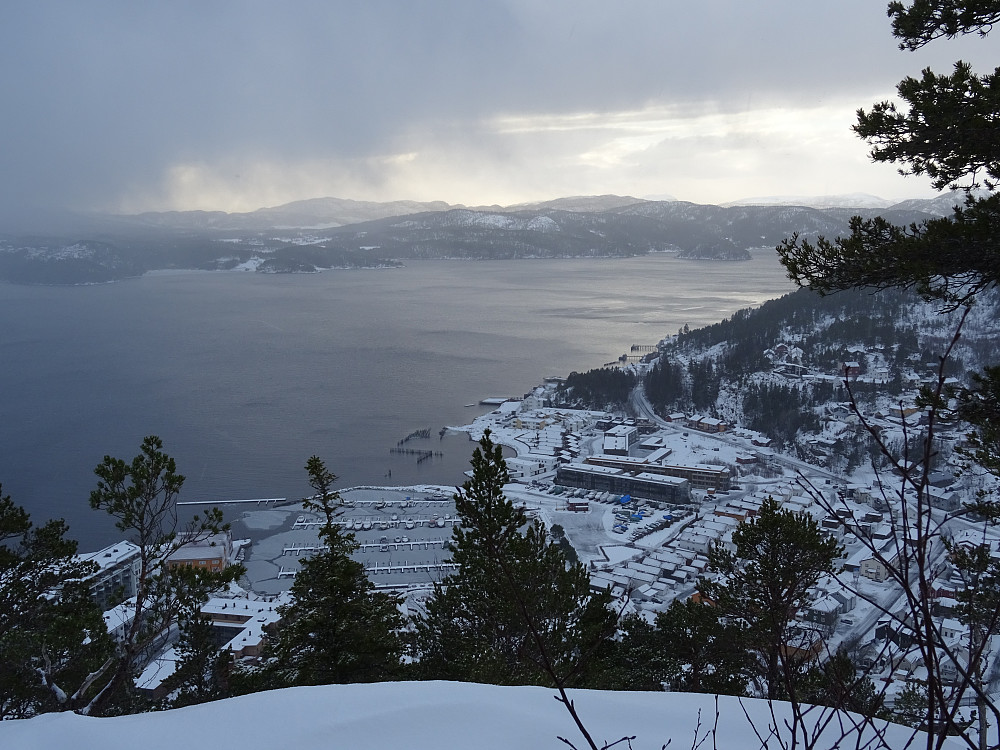 Flott utsikt mot Prærien og Namsos Småbåthavn