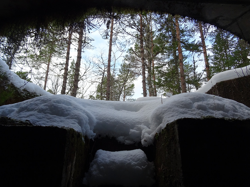 En tysk bunkers fra krigens dager