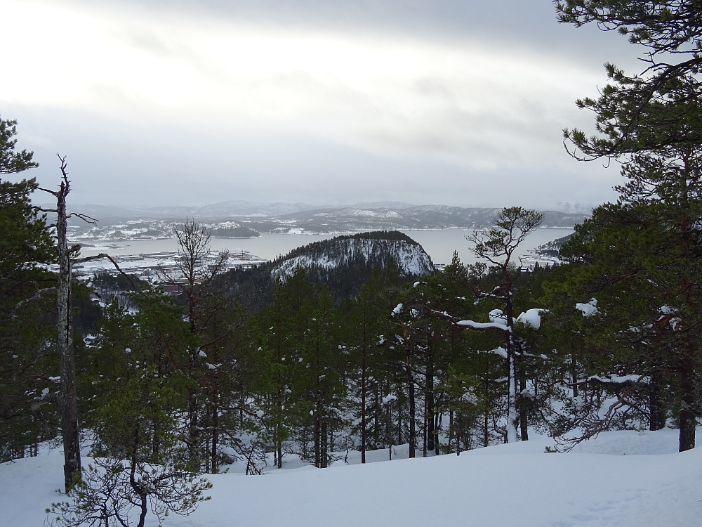 Flott utsikt fra Torskardfjellet