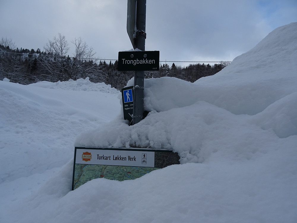 Trongbakken. (Snarvei opp mot brøytet vei)