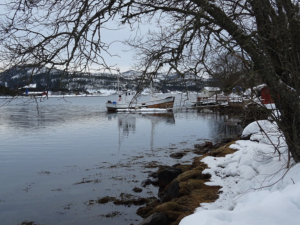 Vårstemning ved sjøen på Ganes
