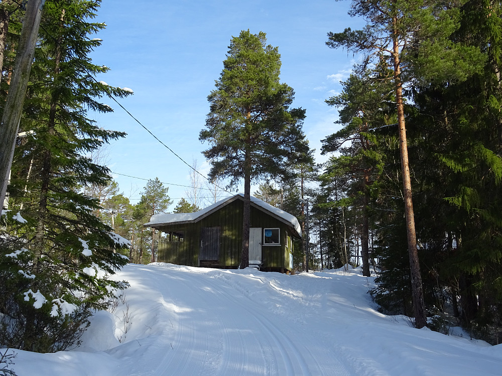 Flotte skiforhold på Sørenget.