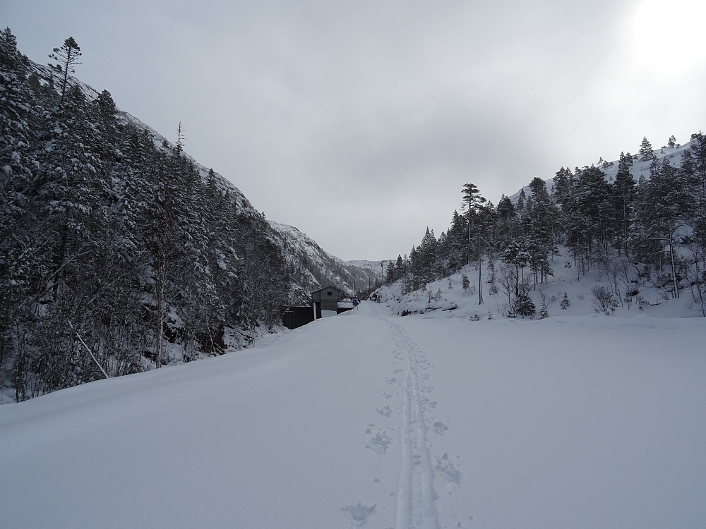 En flott vei inn mot Tavlåvatnet
