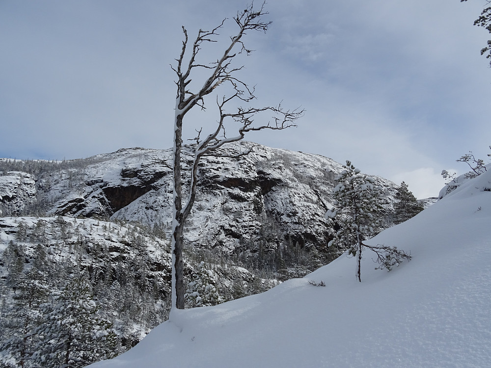 Flott utsikt mot Strandfjellet på grensen mellom Namsos og Overhalla Kommune