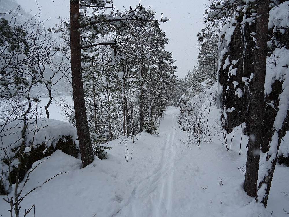 Flott kjerreveg langs Tavlåvatnet