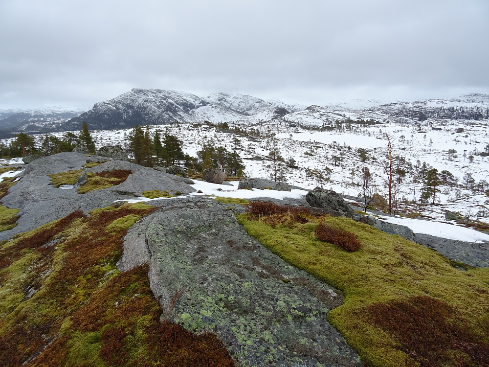 Høyeste punkt på Bjørkafjellet (287,83 moh)