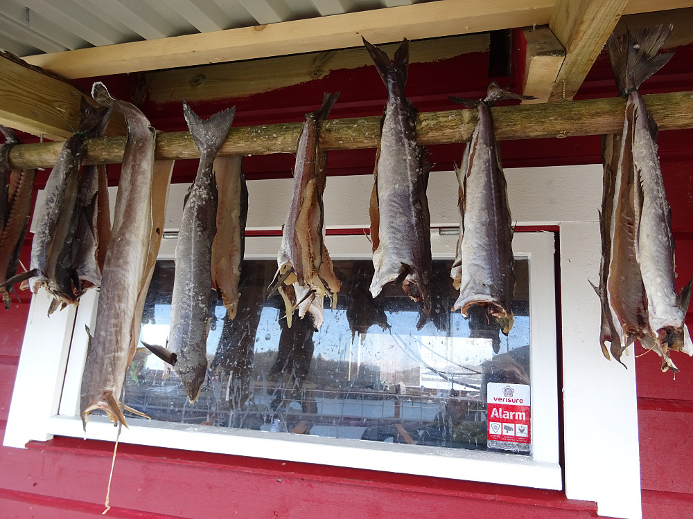 Tørrfisk på kaia på Eidshaug