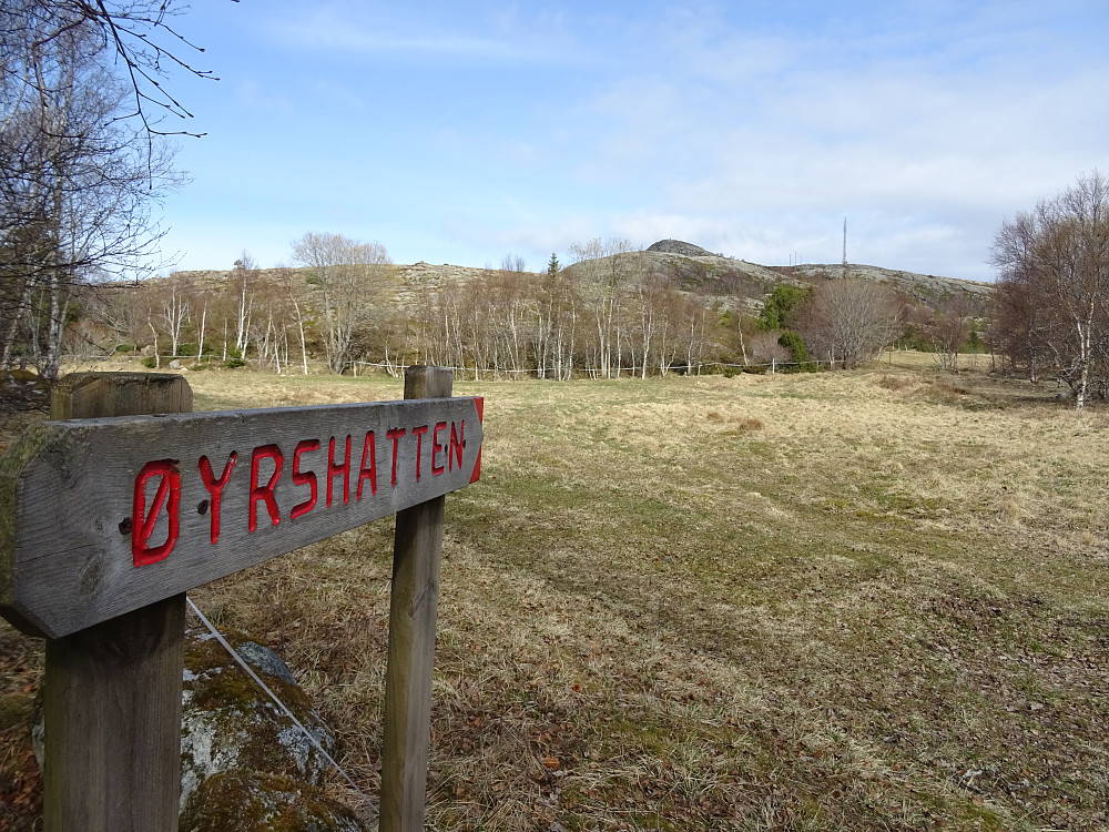 Godt skiltet sti mot Øyrshatten