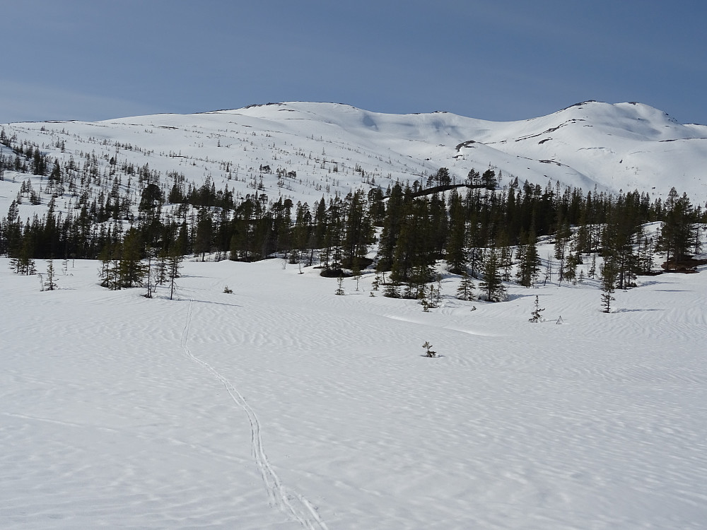 Kvitfjellet ligger innenfor dette fjellmassivet