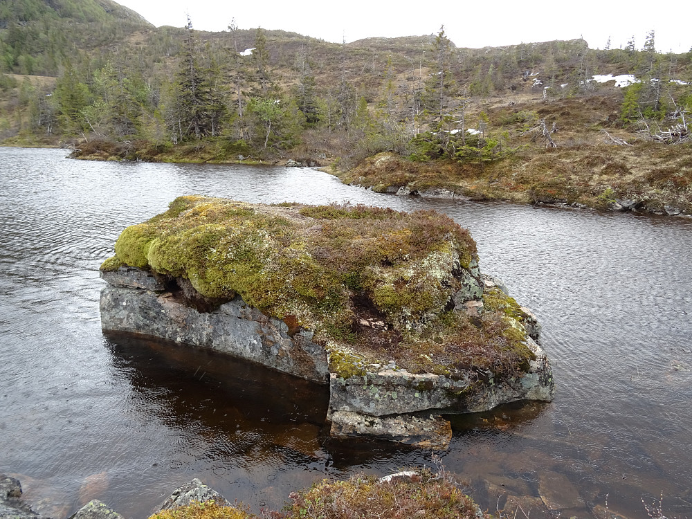Kallhammarvatnet
