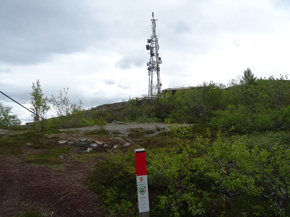 En stolpe og mastra på Dummolfjellet i bakgrunnen