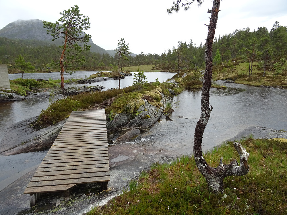 Utløpet av Spillumsvassbekken