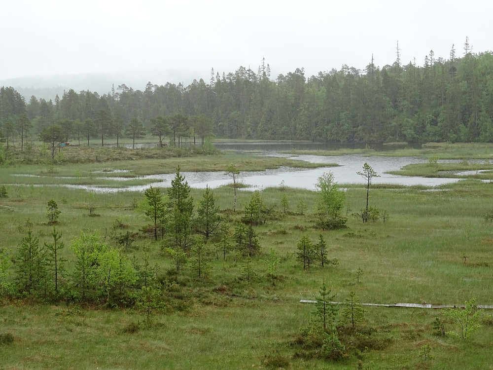 Barntjønna