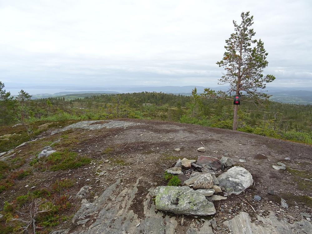 Toppsteiner på Furuhevillen