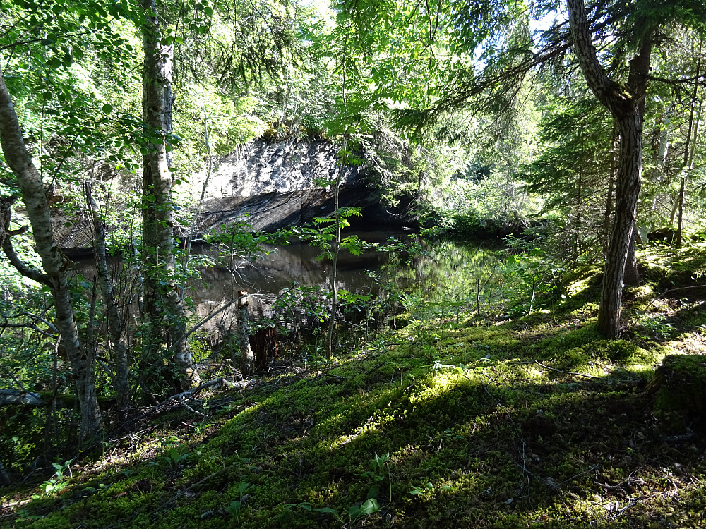 Lita tjønn nord for Skardsjøen