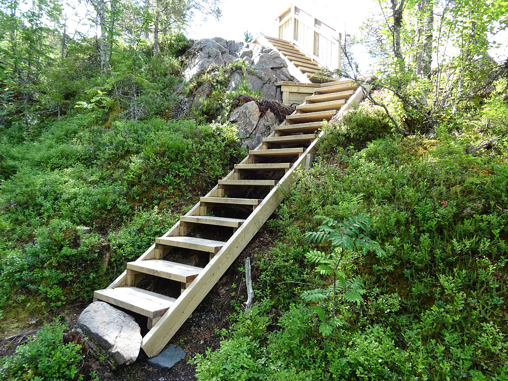 Flott sti mot Håmyrfjellet
