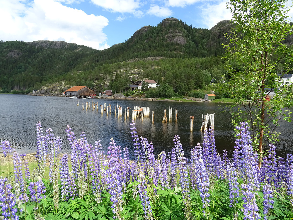 Utsikt mot fjellkjeden Klempan