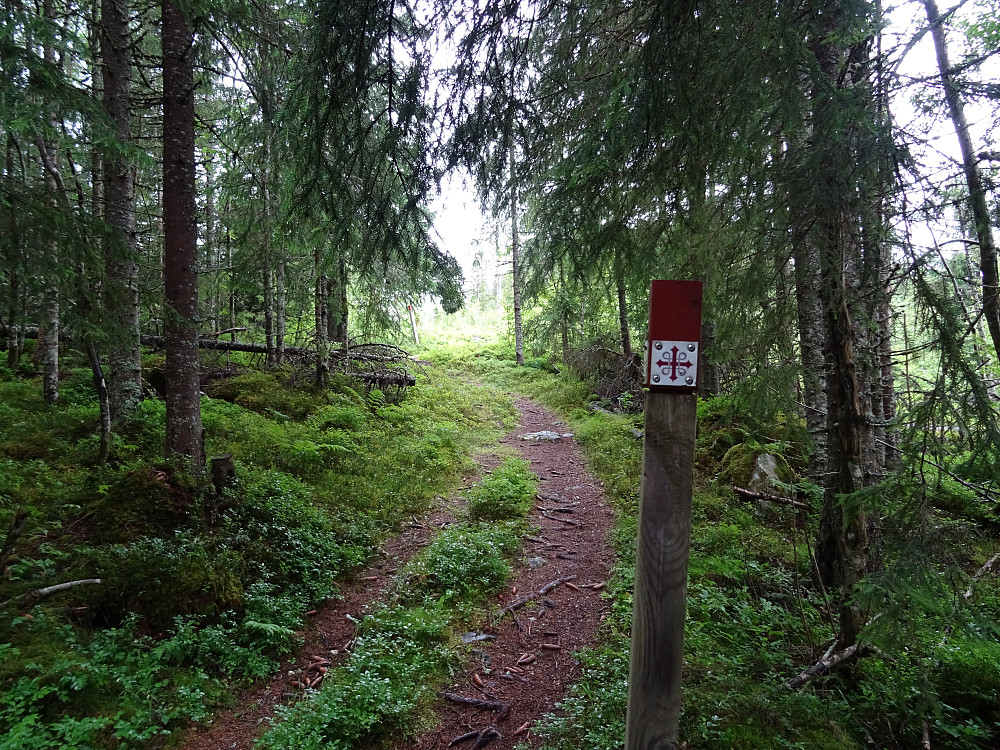 St. Olavsleden er godt merket.