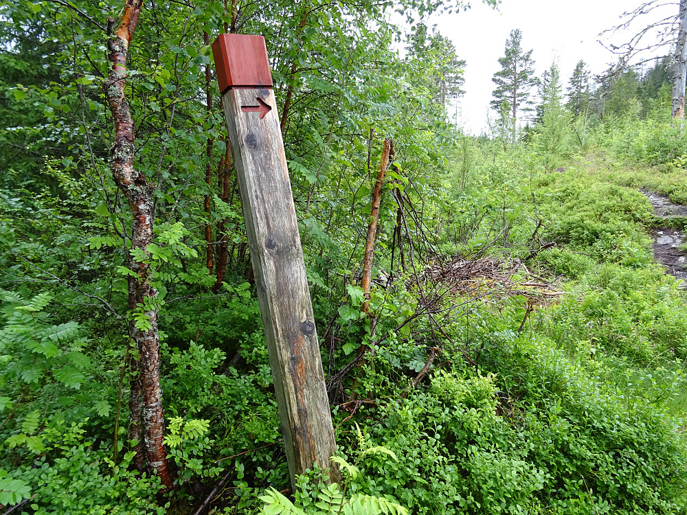 En gammel pilegrimspåle. Her har det vandret pilegrimer i 1000 år