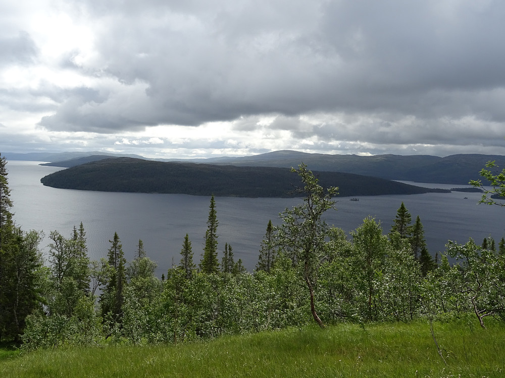 Utsikt mot Litlfjelløya