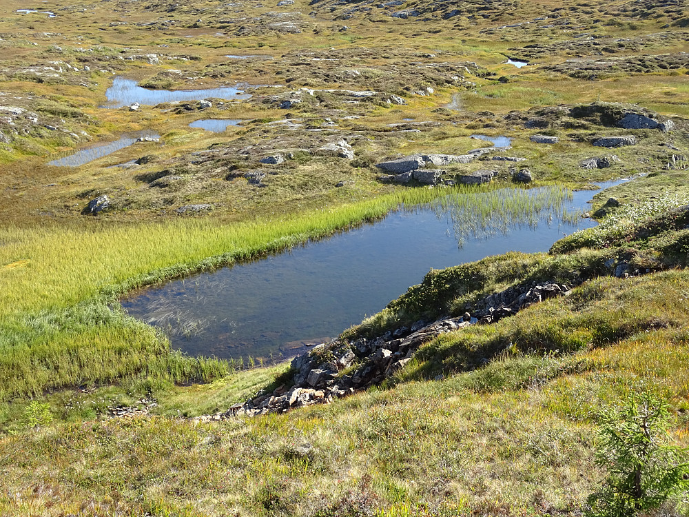 Vann like før Trevassheia