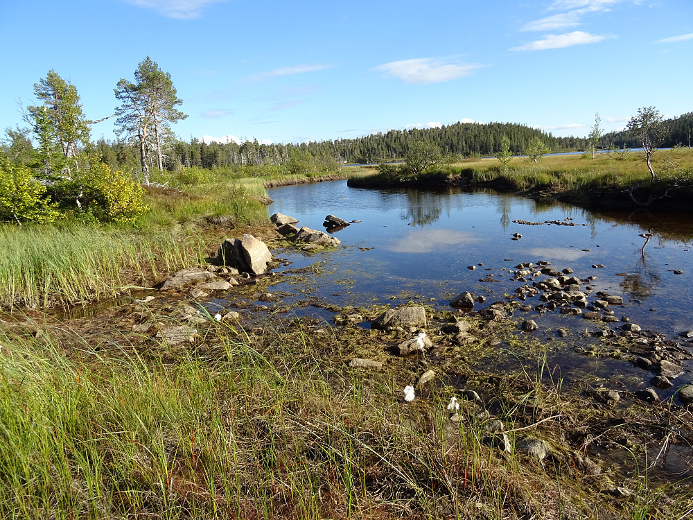 Innløpet til Sørenvatnet