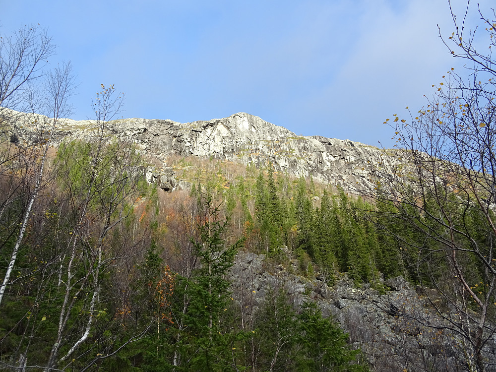 En tverr-rygg mot Aunfjellet 824 moh