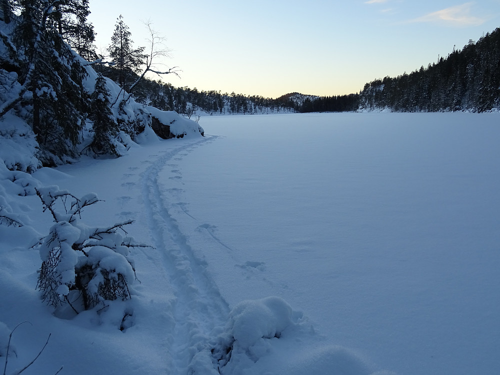 Skisporet på Svarttjønna nært land