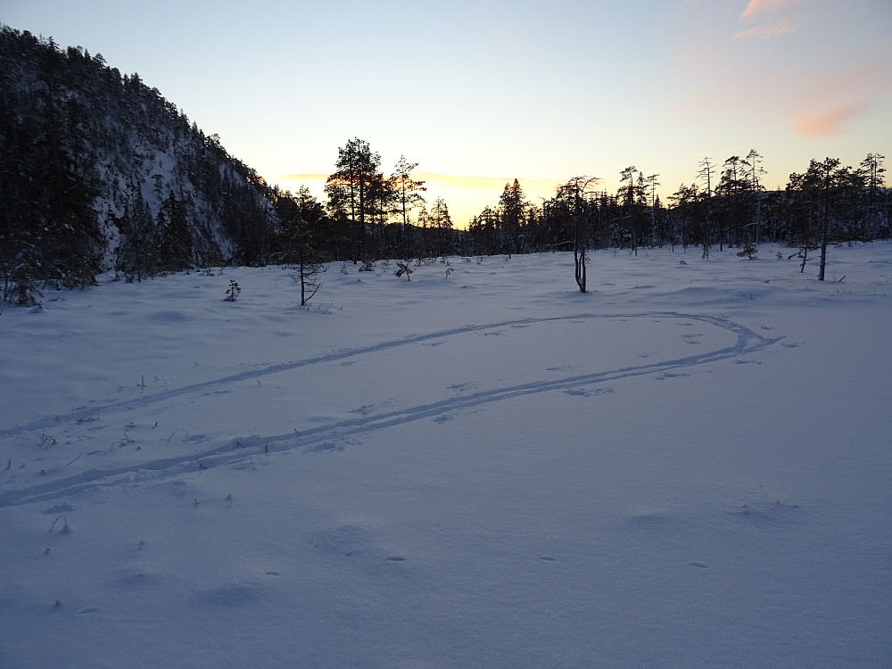 En liten runde på isen på Daumannstjønna
