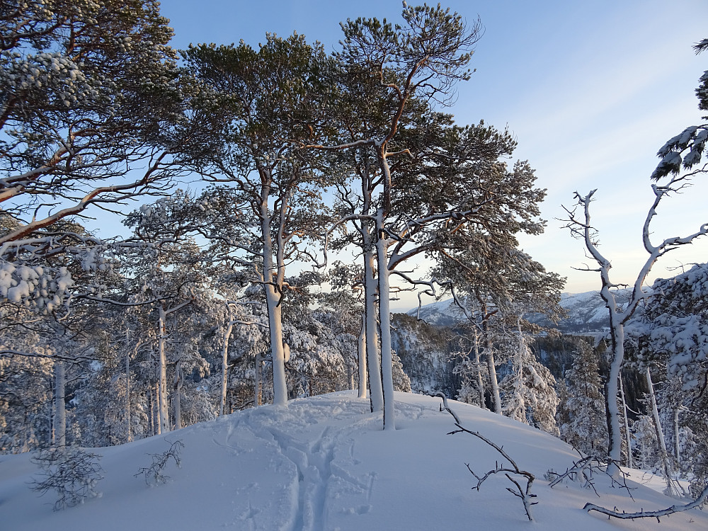 Retur fra trimkassen