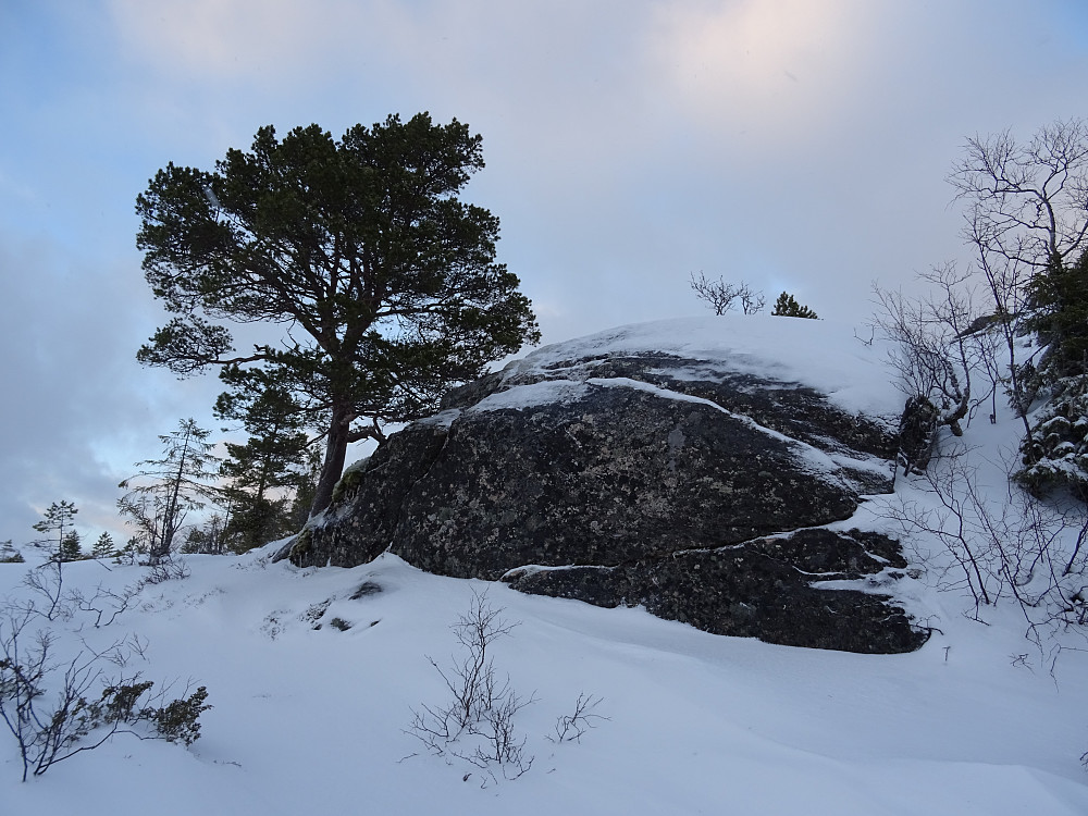 Mot Olafjellet