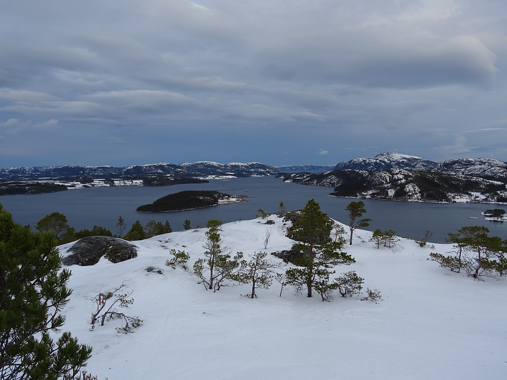 Utsikt mot Vedøya