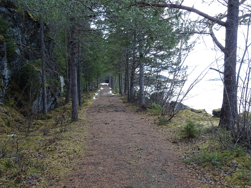 Flott sti mot Langstein