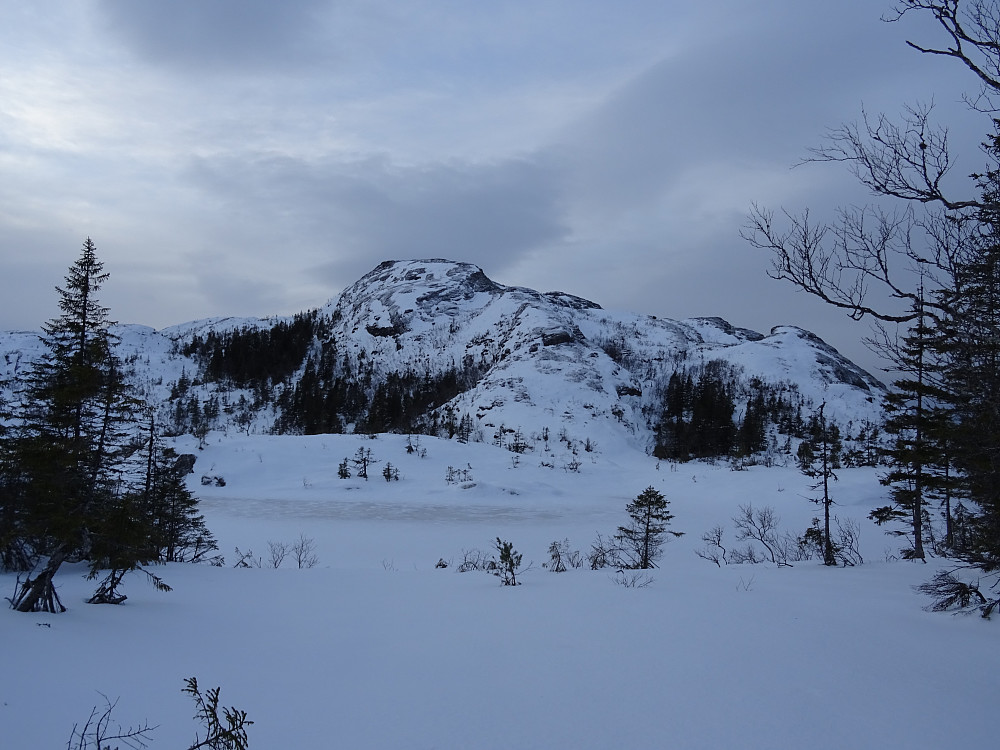 Dyravatnet med Urdfjellet bak (dagens mål)