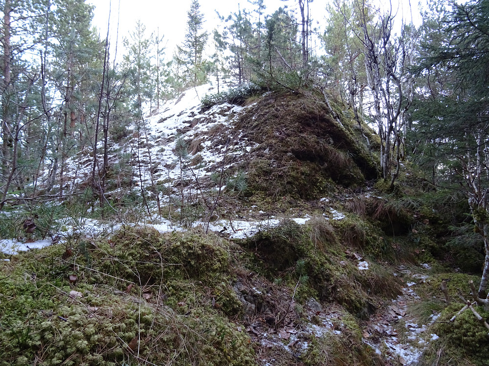 Sukkertoppen