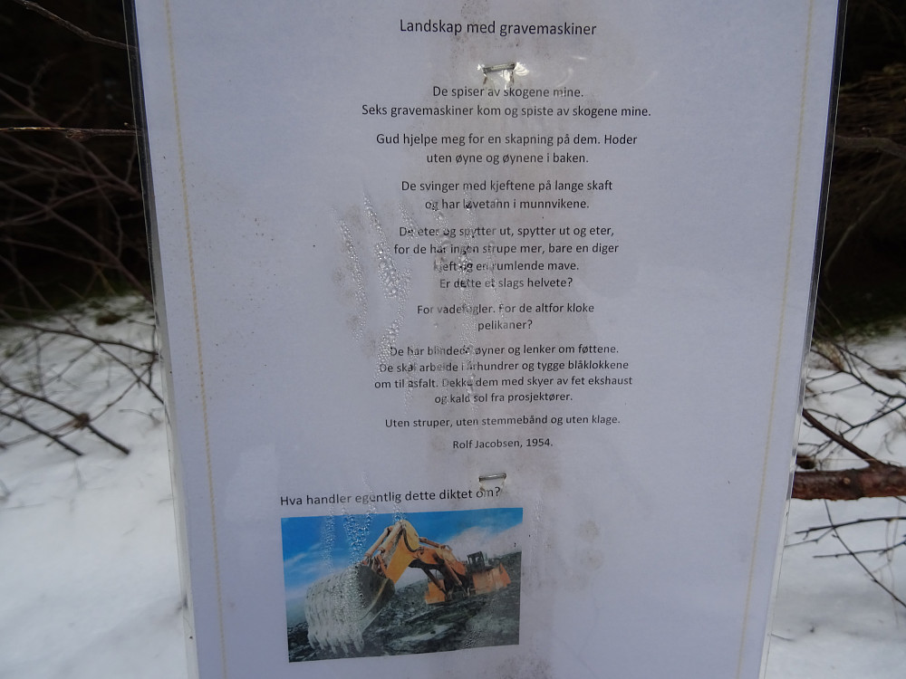 Et lite dikt før Furuberget