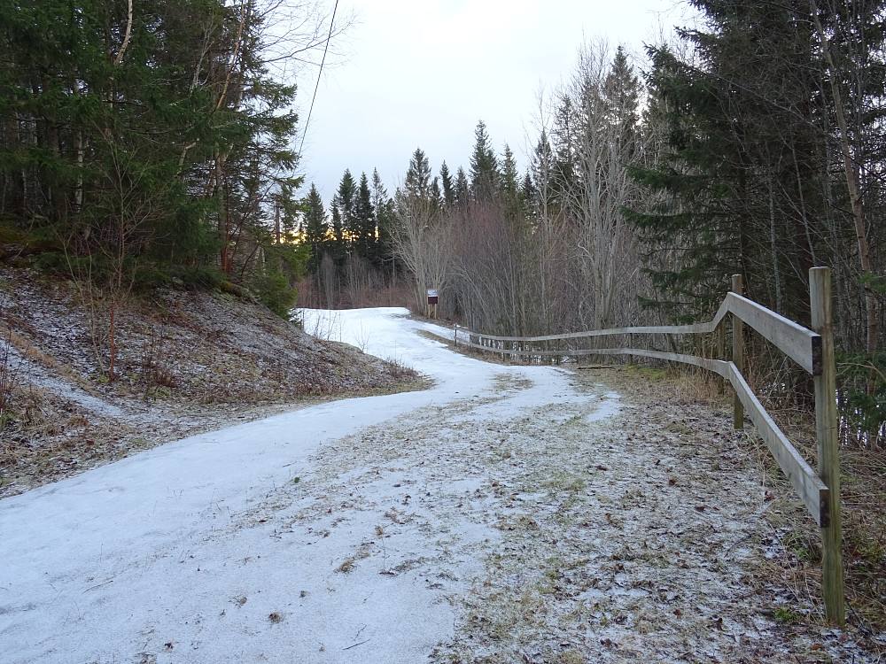 Lite snø i skiløypa