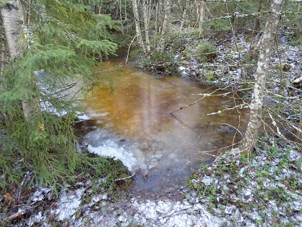 En liten dam på Arnstadklimpen