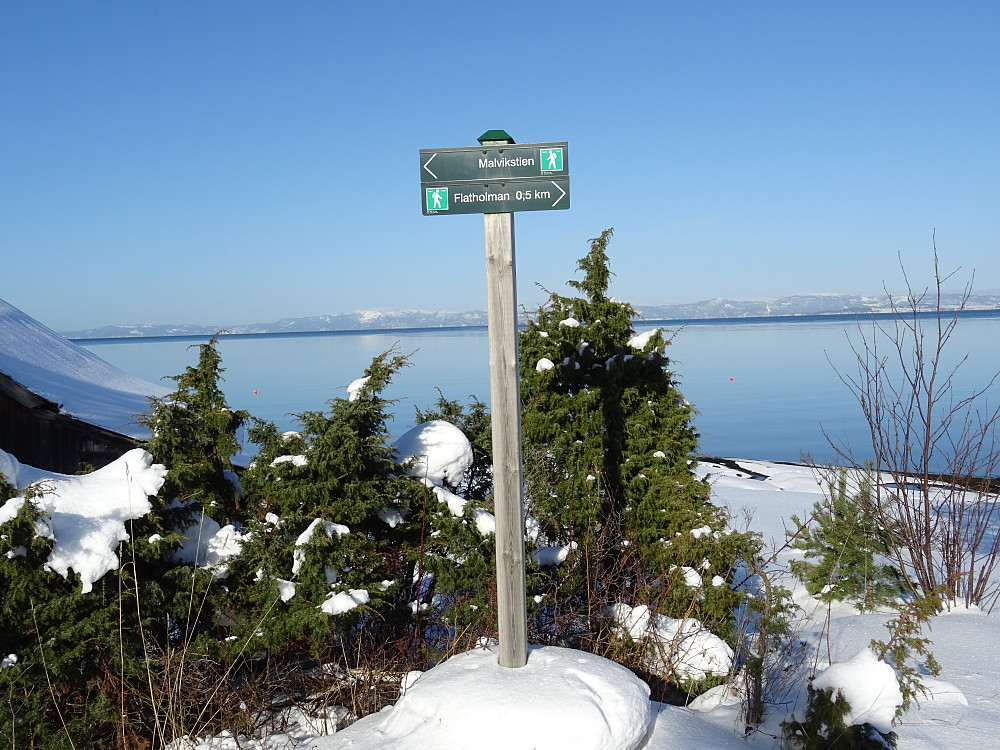 Veivalg