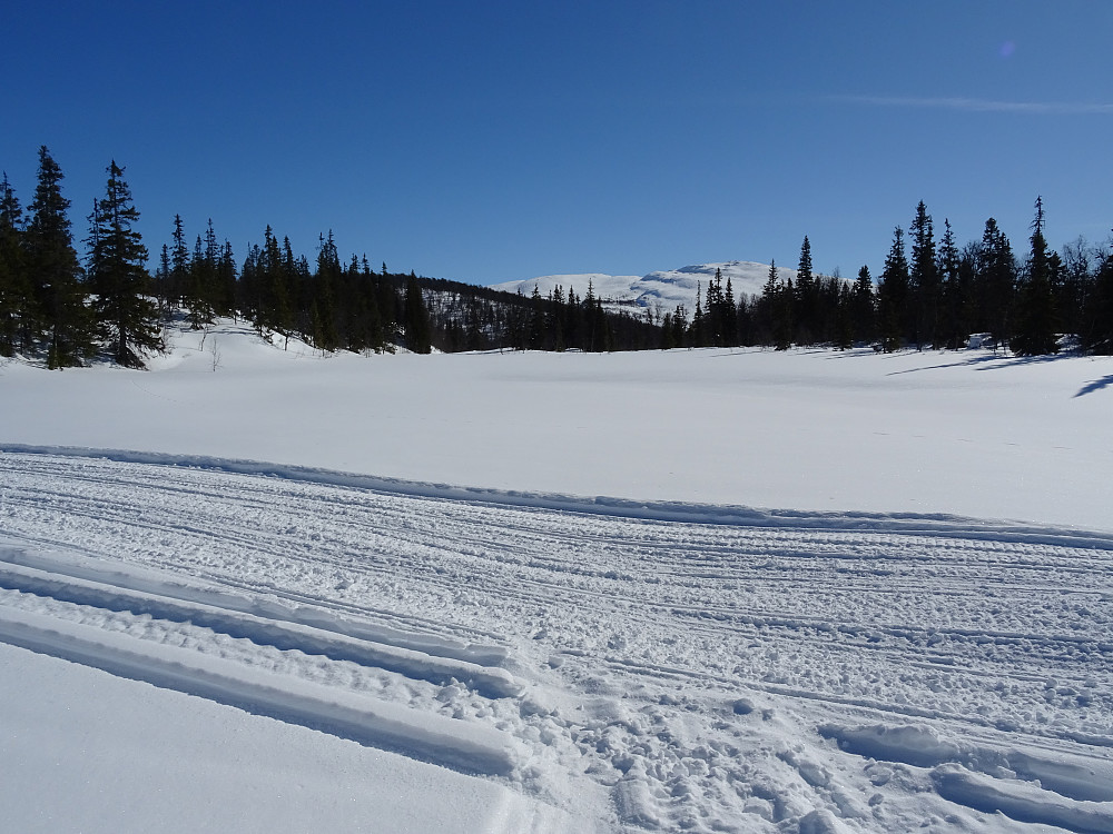 Flott scooterspor inn i fjellet