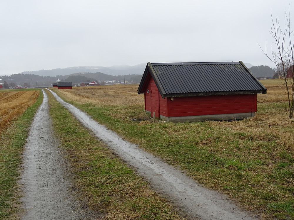 Avlingsvei på Kvithamar